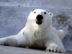 salut!!!!!!!!!