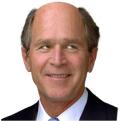 c bush